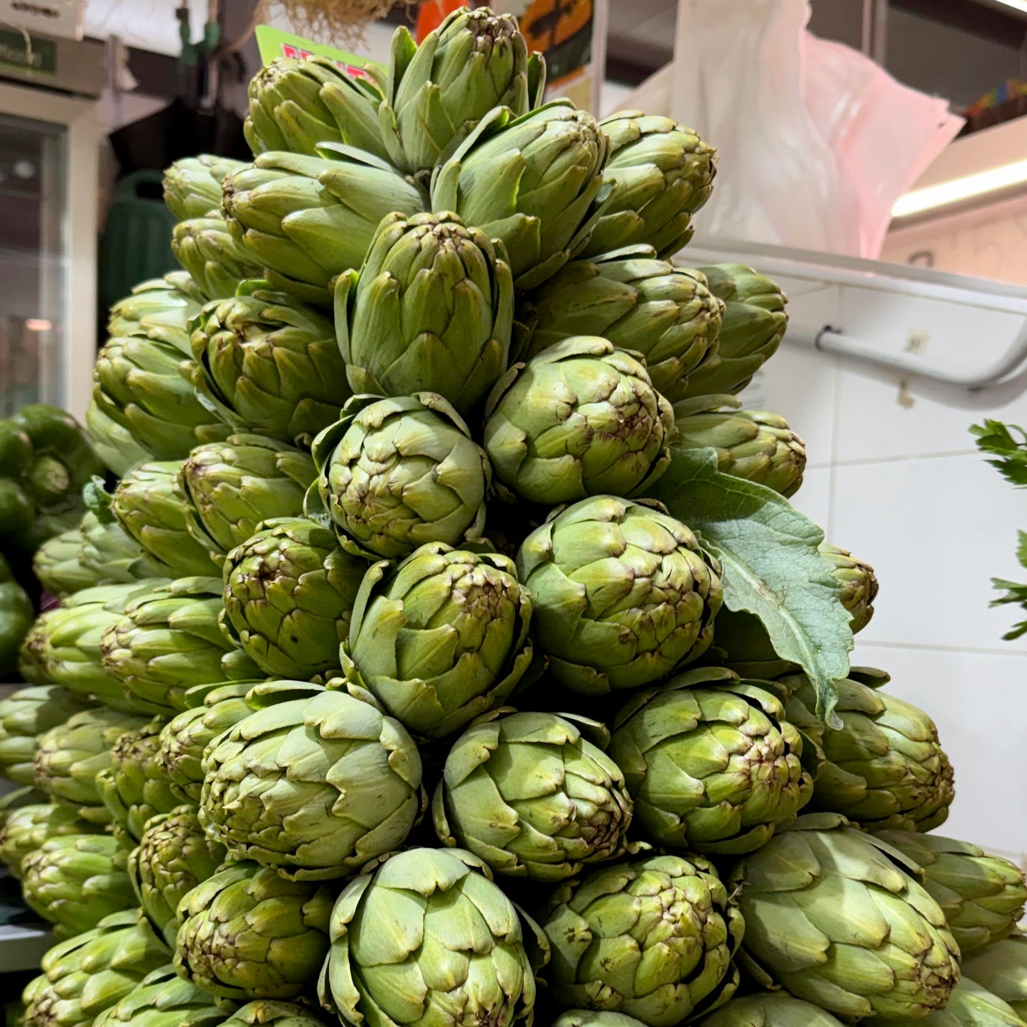 ALCACHOFA