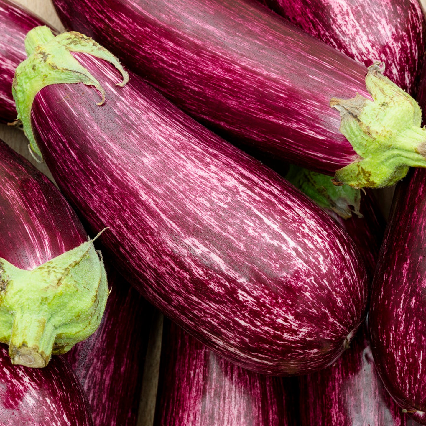 BERENJENA