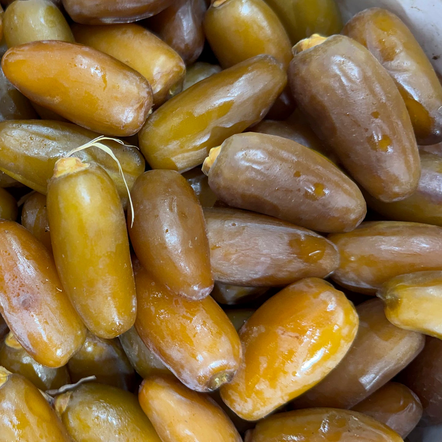 DÁTILES DE ELCHE