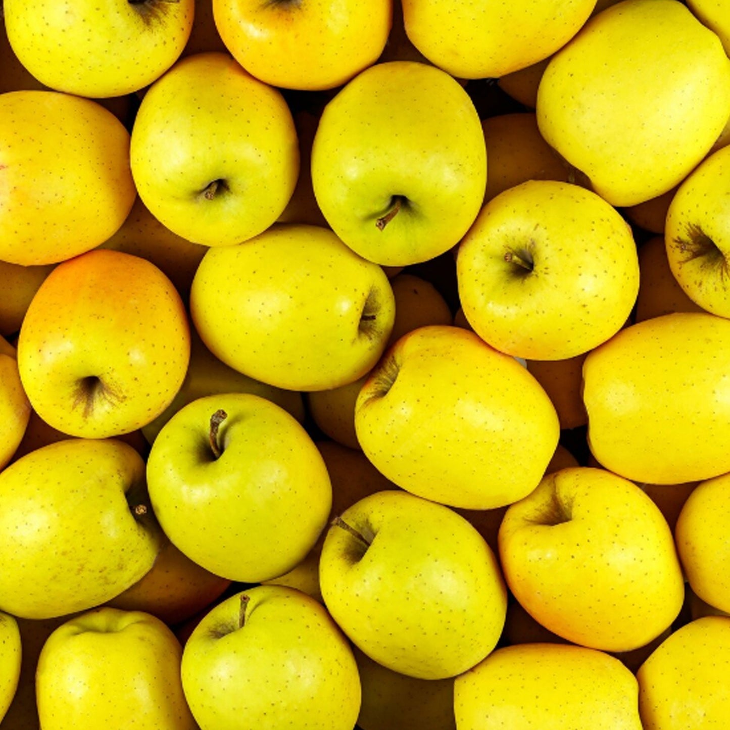 MANZANA AMARILLA
