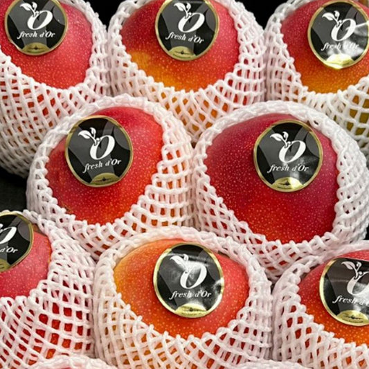 MANGOS DE AVIÓN