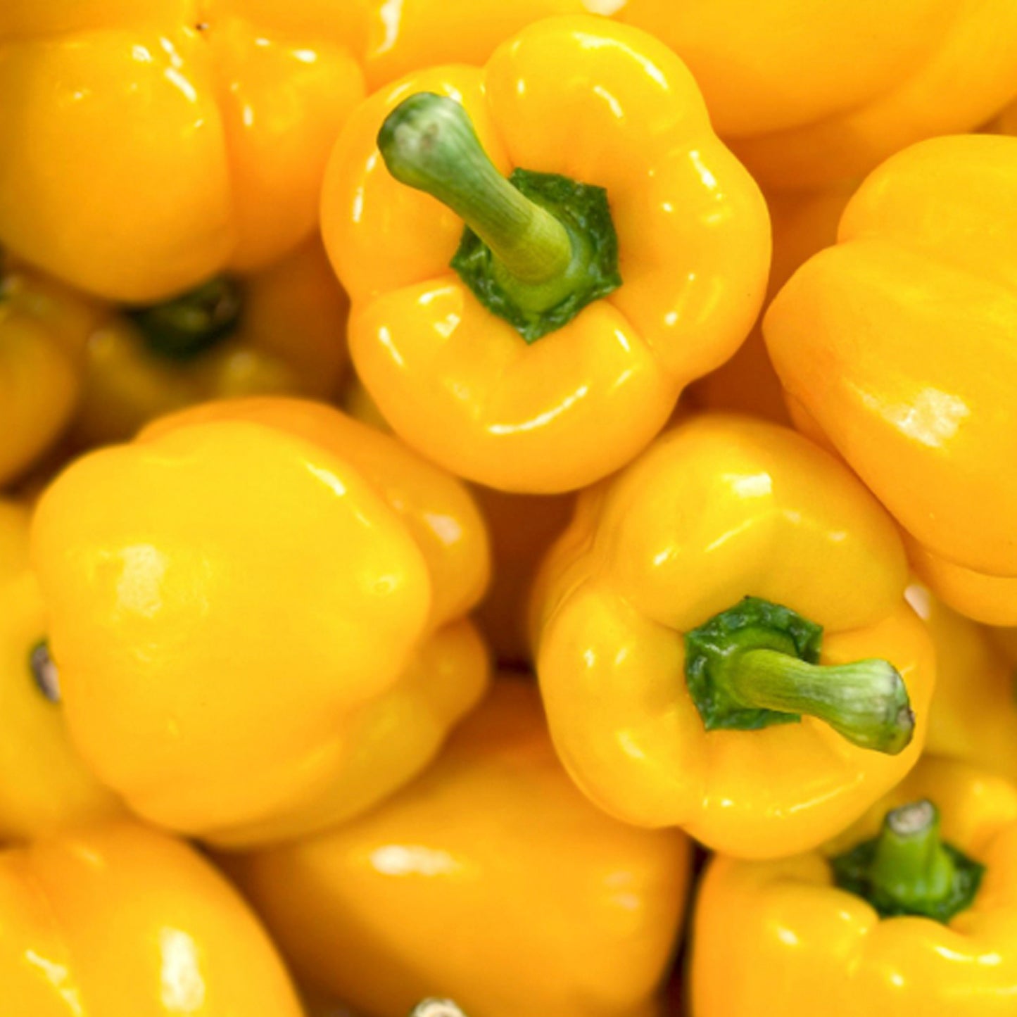 PIMIENTO AMARILLO