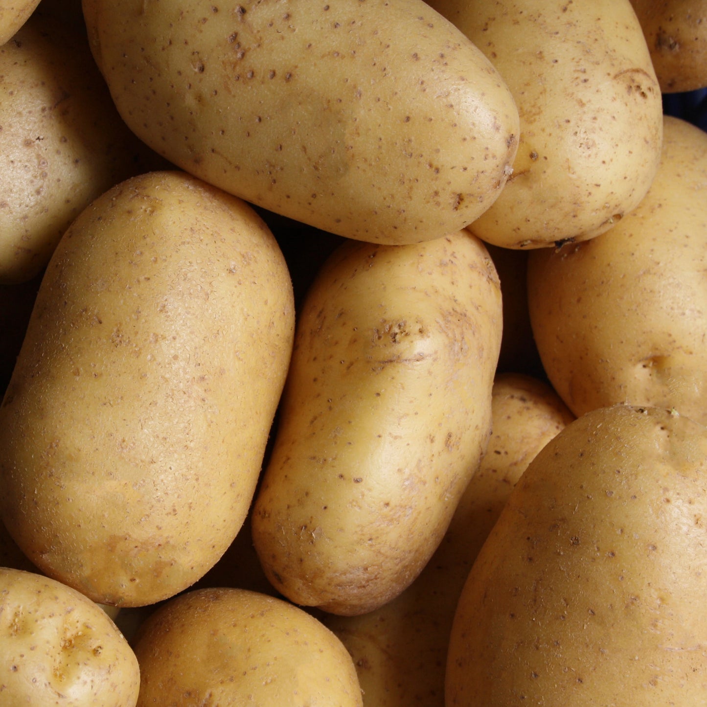 PATATA SPUNTA