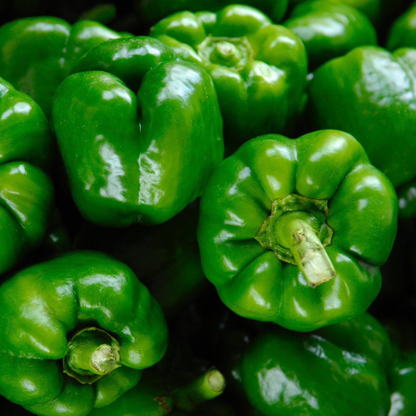 PIMIENTO VERDE