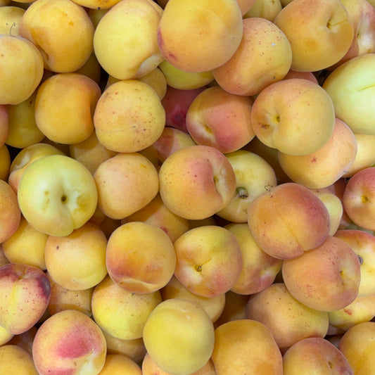ALBARICOQUES