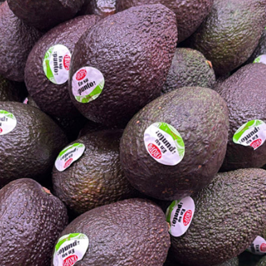 AGUACATE TROPS