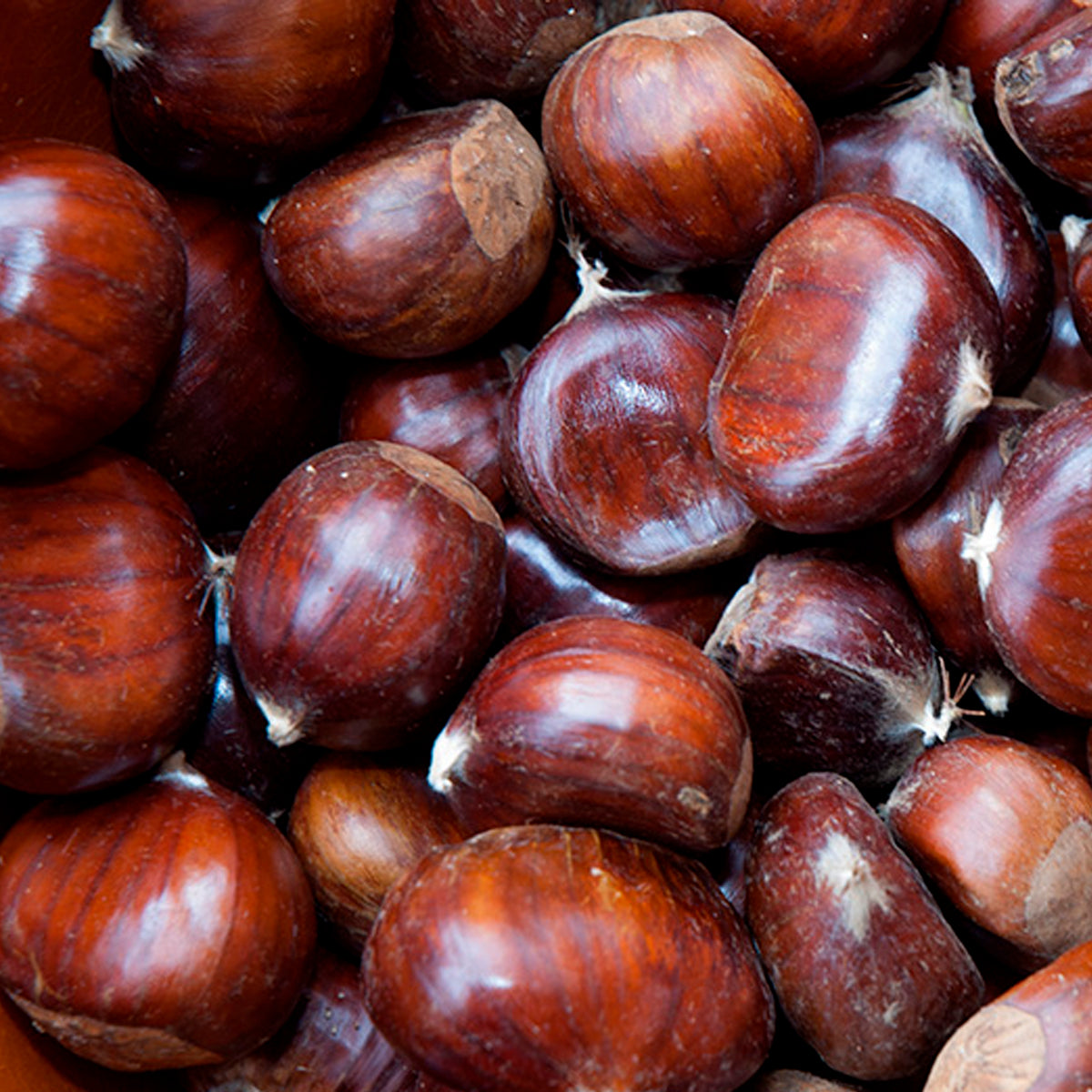 CASTAÑAS