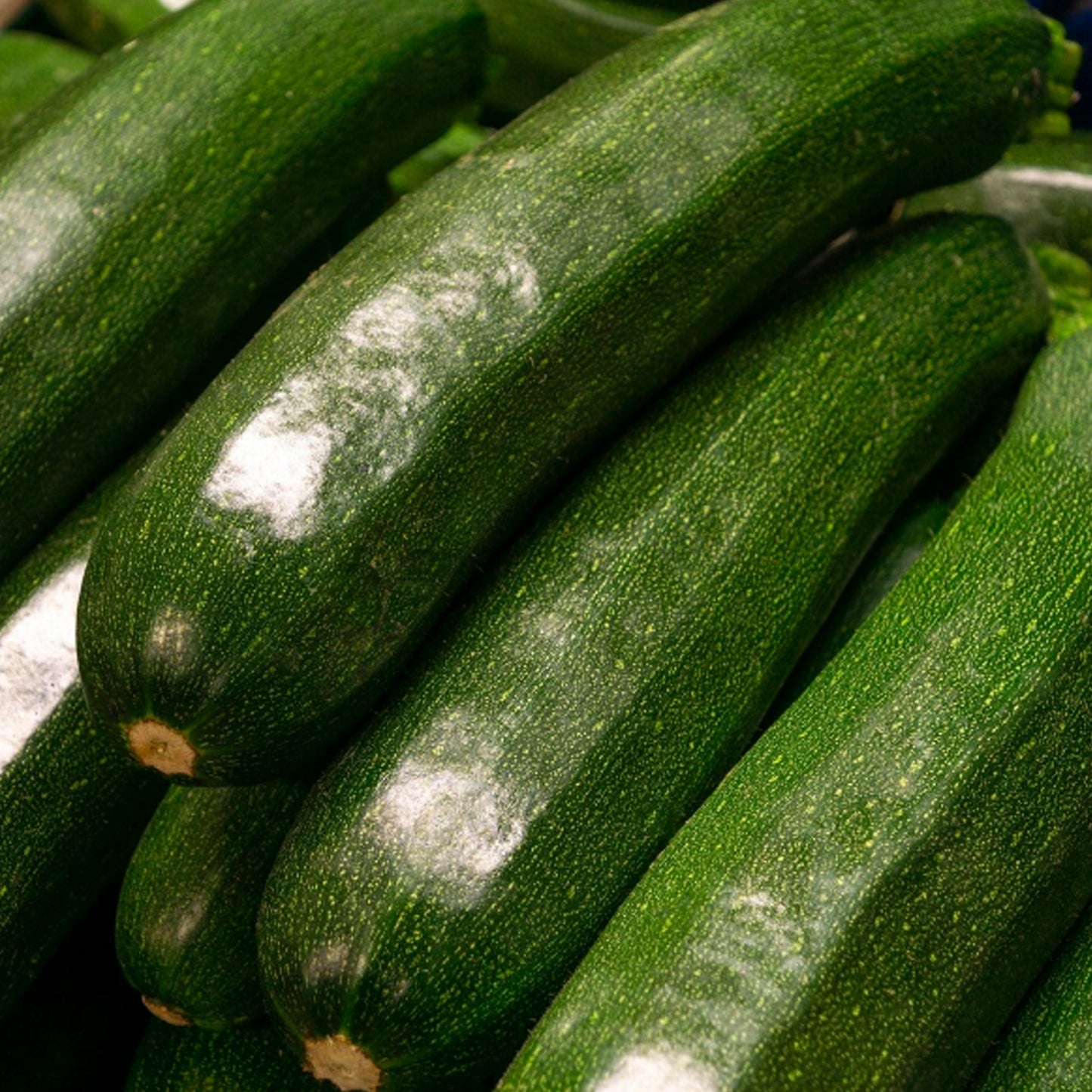 CALABACÍN