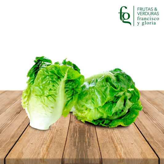 COGOLLO DE LECHUGA