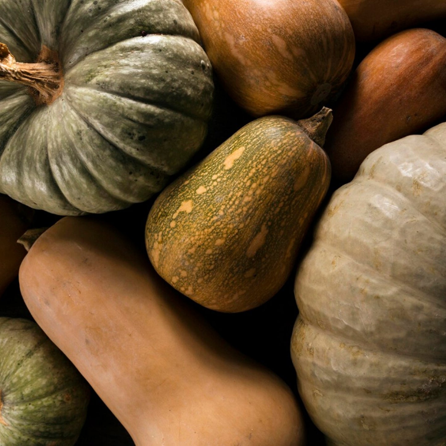 CALABAZA