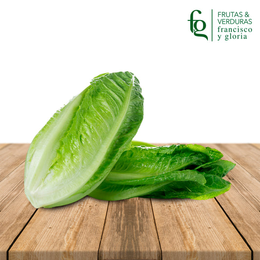 LECHUGA