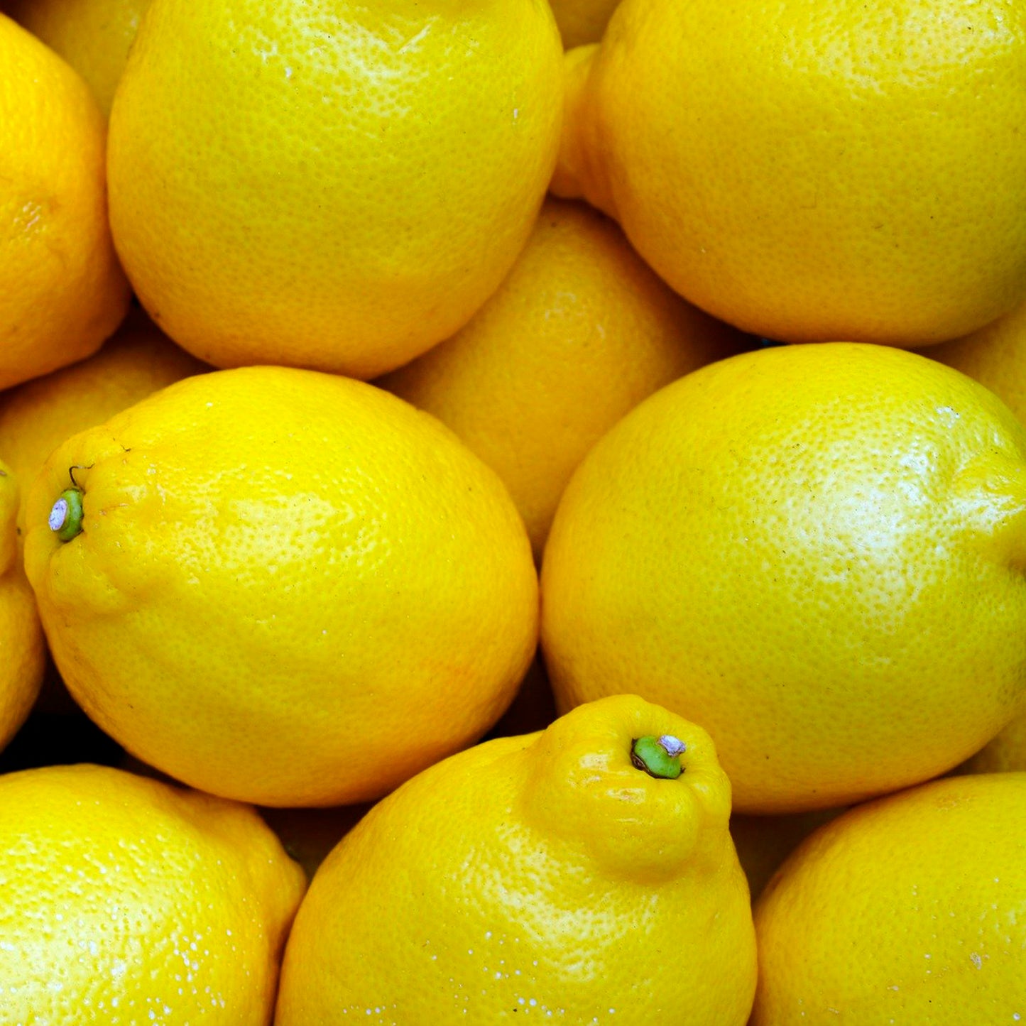 LIMÓN