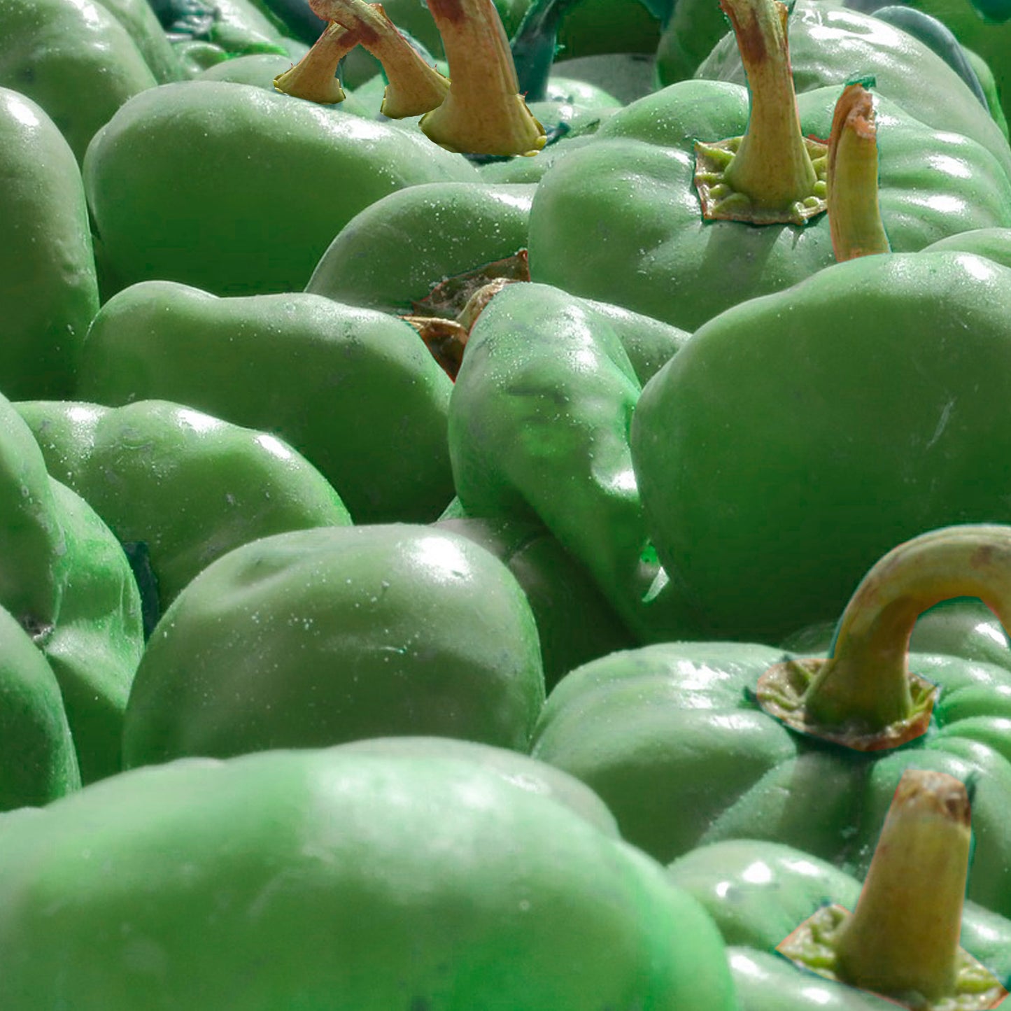 ÑORAS VERDES