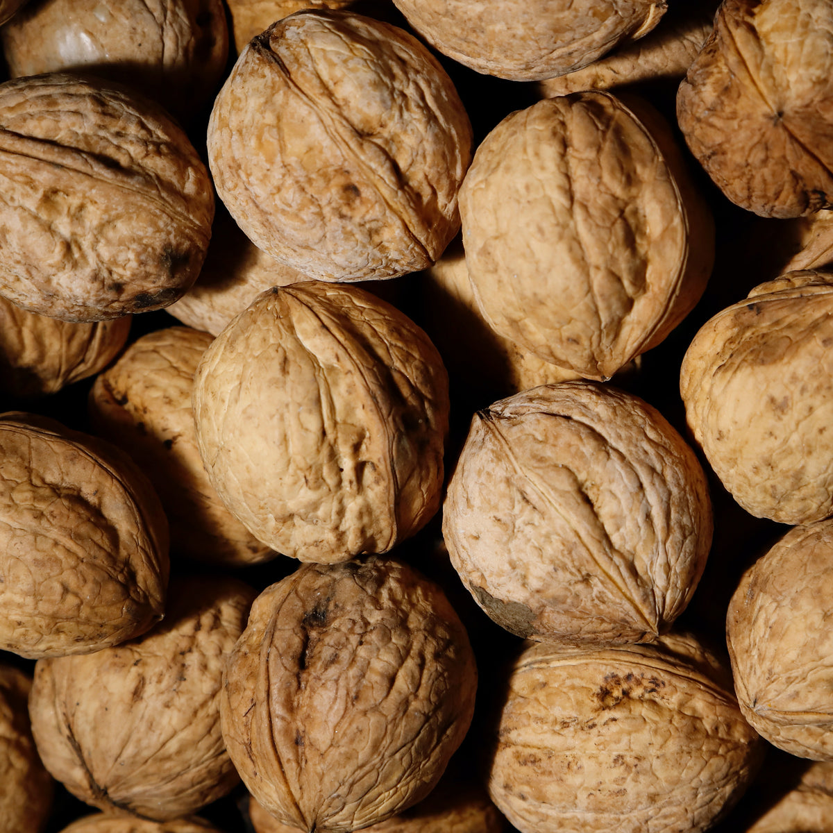NUECES