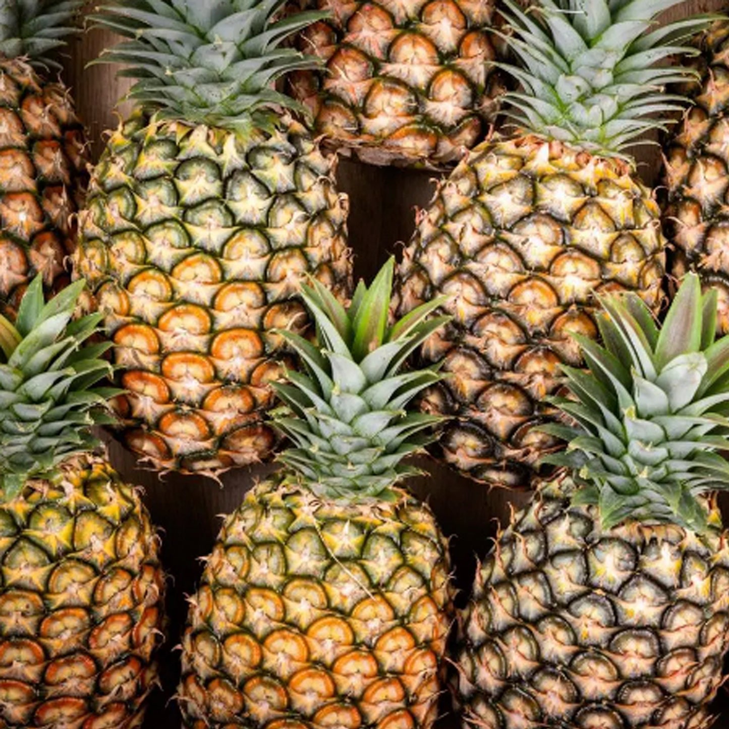 PIÑAS