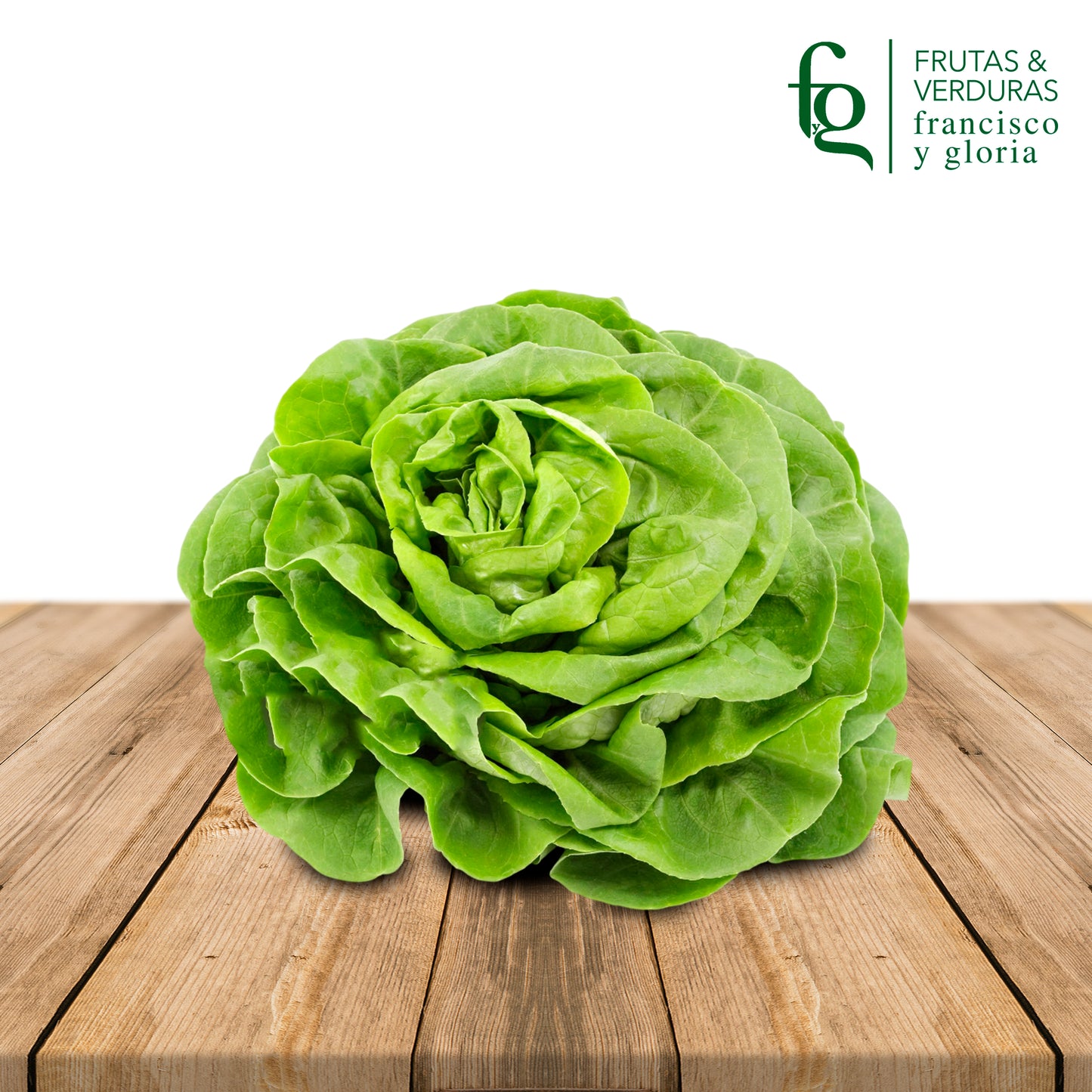 LECHUGA TROCADERO