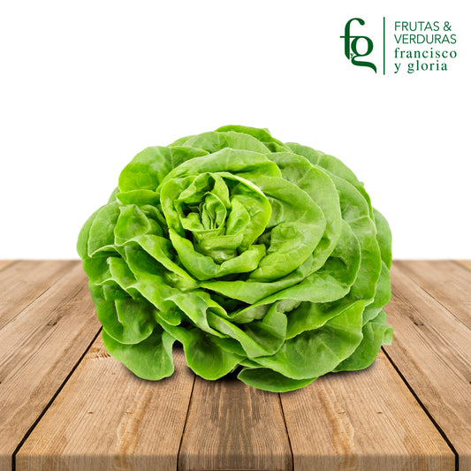 LECHUGA TROCADERO