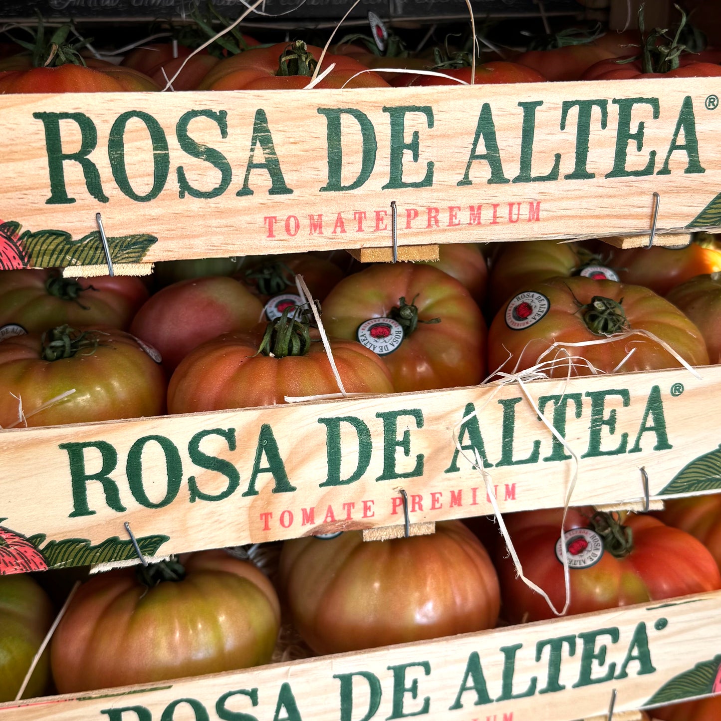 TOMATE ROSA